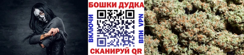 МЕФ Ржев
